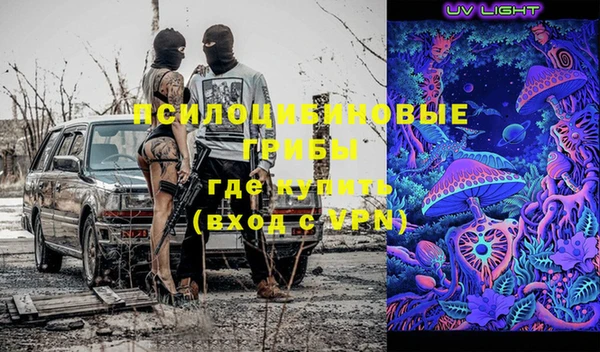 дурь Горно-Алтайск