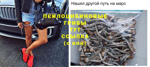 mdpv Горняк