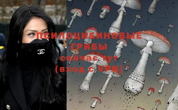 дурь Горно-Алтайск